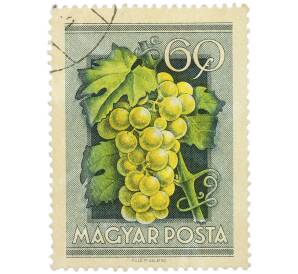 Почтовая марка 60 филлеров 1954 года Венгрия «Виноград» — Фото №1