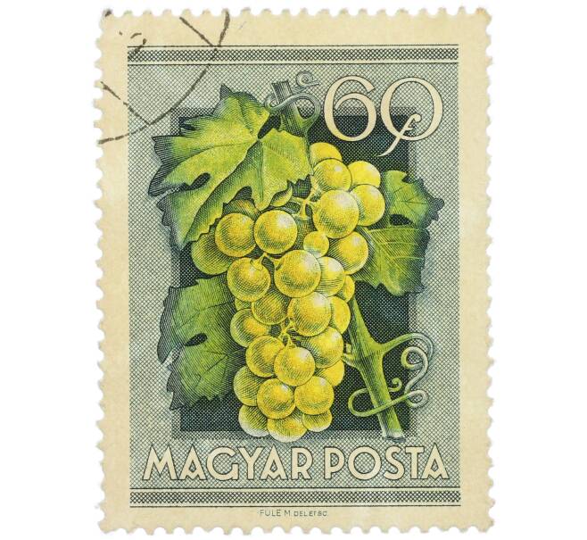 Почтовая марка 60 филлеров 1954 года Венгрия «Виноград» (Артикул: P2-1321) — Фото №1