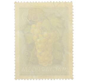 Почтовая марка 60 филлеров 1954 года Венгрия «Виноград» — Фото №2