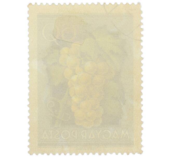 Почтовая марка 60 филлеров 1954 года Венгрия «Виноград» (Артикул: P2-1321) — Фото №2