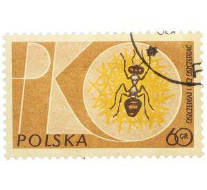 Почтовая марка 60 грошей 1961 года Польша «Польская сберегательная касса — Муравей» — Фото №1