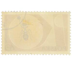 Почтовая марка 60 грошей 1961 года Польша «Польская сберегательная касса — Муравей» — Фото №2