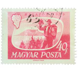 Почтовая марка 40 филлеров 1959 года Венгрия «Озеро Балатон — Виноградарство» — Фото №1