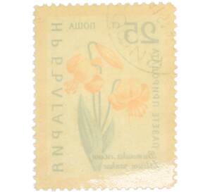 Почтовая марка 25 стотинок 1960 года Болгария «Охрана природы — Лилия Янка» — Фото №2