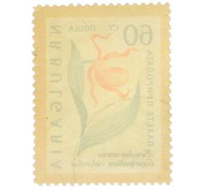 Почтовая марка 60 стотинок 1960 года Болгария «Охрана природы — Венерин башмачок» — Фото №2