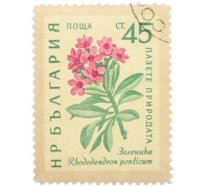 Почтовая марка 45 стотинок 1960 года Болгария «Охрана природы — Зеленика» — Фото №1