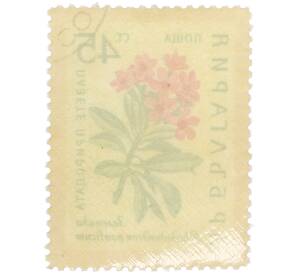 Почтовая марка 45 стотинок 1960 года Болгария «Охрана природы — Зеленика» — Фото №2