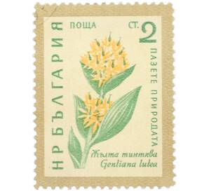 Почтовая марка 2 стотинки 1960 года Болгария «Охрана природы — Желтая горечавка» — Фото №1