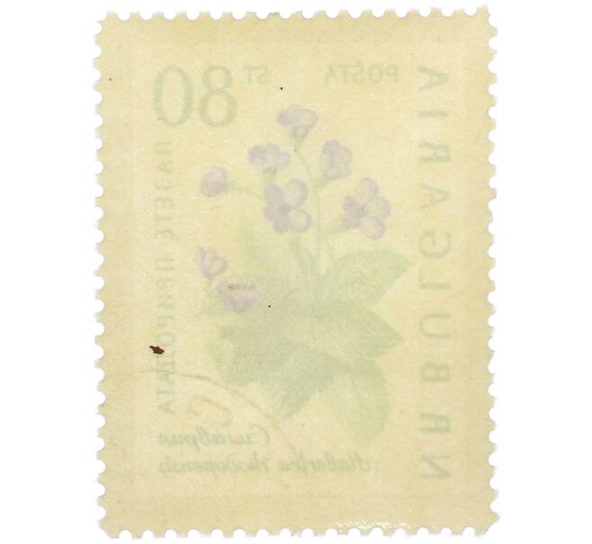 Почтовая марка 80 стотинок 1960 года Болгария «Охрана природы — Силивряк» (Артикул: P2-1393) — Фото №2