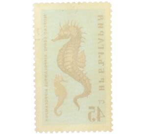 Почтовая марка 45 стотинок 1961 года Болгария «Фауна Черного моря — Морской конек» — Фото №2