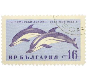Почтовая марка 16 стотинок 1961 года Болгария «Фауна Черного моря — Черноморский дельфин» — Фото №1