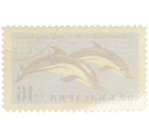 Почтовая марка 16 стотинок 1961 года Болгария «Фауна Черного моря — Черноморский дельфин» — Фото №2