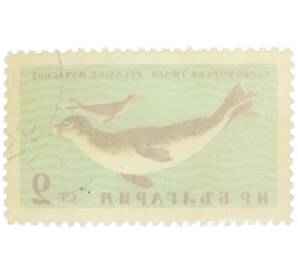 Почтовая марка 2 стотинки 1961 года Болгария «Фауна Черного моря — Черноморский тюлень» — Фото №2