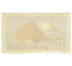 Почтовая марка 1.25 лева 1961 года Болгария «Фауна Черного моря — Колючий скат (Морская лисица)» — Фото №2