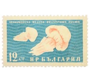 Почтовая марка 12 стотинок 1961 года Болгария «Фауна Черного моря — Черноморская медуза» — Фото №1