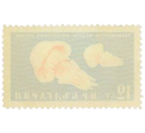 Почтовая марка 12 стотинок 1961 года Болгария «Фауна Черного моря — Черноморская медуза» — Фото №2