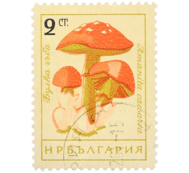 Почтовая марка 2 стотинки 1961 года Болгария «Грибы — Цезарский гриб» (Артикул: P2-1401) — Фото №1