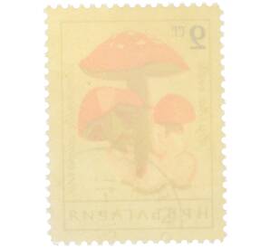Почтовая марка 2 стотинки 1961 года Болгария «Грибы — Цезарский гриб» — Фото №2