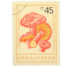 Почтовая марка 45 стотинок 1961 года Болгария «Грибы — Рыжик настоящий» — Фото №1