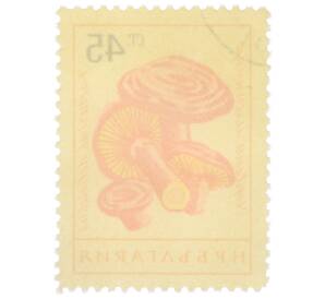 Почтовая марка 45 стотинок 1961 года Болгария «Грибы — Рыжик настоящий» — Фото №2