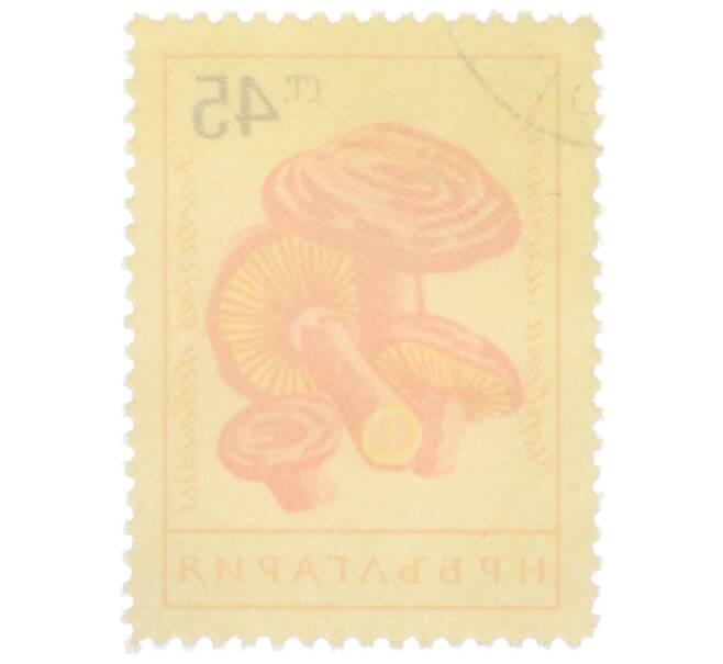 Почтовая марка 45 стотинок 1961 года Болгария «Грибы — Рыжик настоящий» (Артикул: P2-1402) — Фото №2