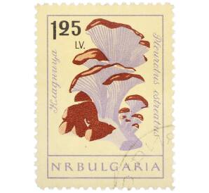 Почтовая марка 1.25 лева 1961 года Болгария «Грибы — Кладница» — Фото №1