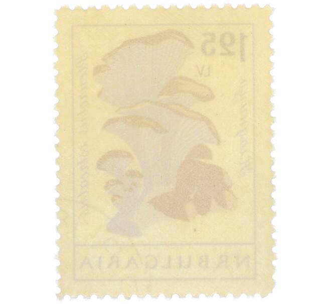 Почтовая марка 1.25 лева 1961 года Болгария «Грибы — Кладница» (Артикул: P2-1403) — Фото №2