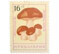 Почтовая марка 16 стотинок 1961 года Болгария «Грибы — Белый гриб (манатарка)» (Артикул: P2-1405) — Фото №1