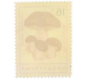 Почтовая марка 16 стотинок 1961 года Болгария «Грибы — Белый гриб (манатарка)» — Фото №2