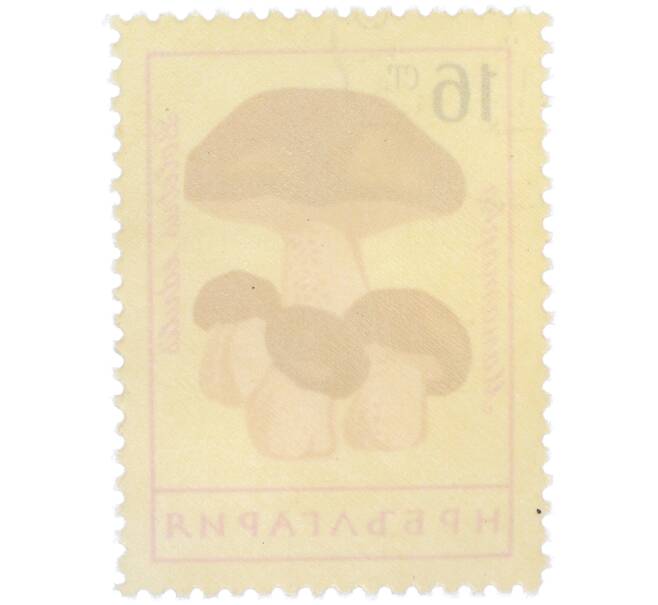 Почтовая марка 16 стотинок 1961 года Болгария «Грибы — Белый гриб (манатарка)» (Артикул: P2-1405) — Фото №2