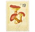 Почтовая марка 12 стотинок 1961 года Болгария «Грибы — Масленок лиственничный « (Артикул: P2-1406) — Фото №1