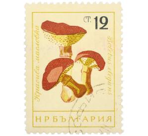 Почтовая марка 12 стотинок 1961 года Болгария «Грибы — Масленок лиственничный « — Фото №1