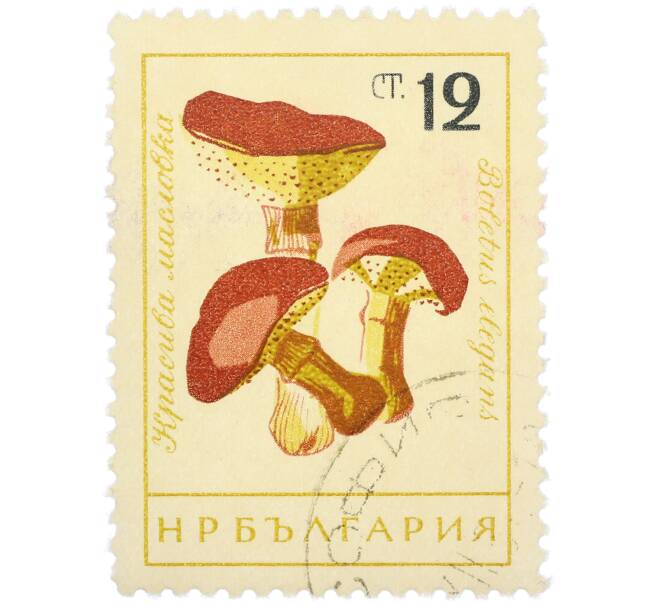 Почтовая марка 12 стотинок 1961 года Болгария «Грибы — Масленок лиственничный « (Артикул: P2-1406) — Фото №1