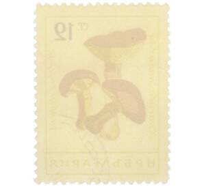 Почтовая марка 12 стотинок 1961 года Болгария «Грибы — Масленок лиственничный « — Фото №2