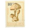 Почтовая марка 80 стотинок 1961 года Болгария «Грибы — Гриб-зонтик пестрый» (Артикул: P2-1407) — Фото №1