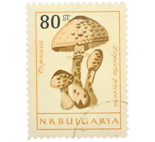 Почтовая марка 80 стотинок 1961 года Болгария «Грибы — Гриб-зонтик пестрый» (Артикул: P2-1407) — Фото №1