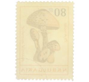 Почтовая марка 80 стотинок 1961 года Болгария «Грибы — Гриб-зонтик пестрый» — Фото №2