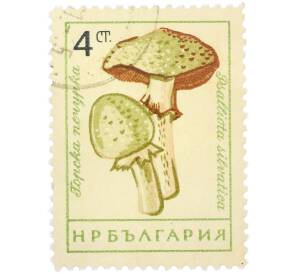 Почтовая марка 4 стотинки 1961 года Болгария «Грибы — Шампиньон лесной» — Фото №1