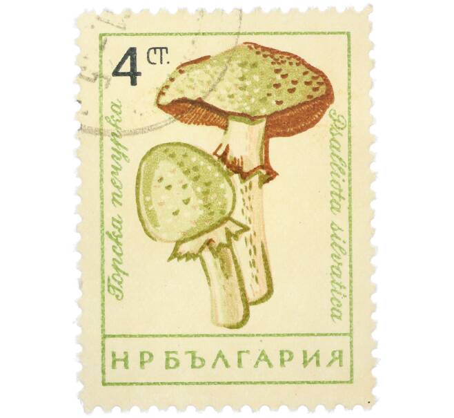 Почтовая марка 4 стотинки 1961 года Болгария «Грибы — Шампиньон лесной» (Артикул: P2-1408) — Фото №1