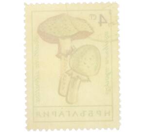 Почтовая марка 4 стотинки 1961 года Болгария «Грибы — Шампиньон лесной» — Фото №2