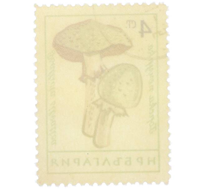 Почтовая марка 4 стотинки 1961 года Болгария «Грибы — Шампиньон лесной» (Артикул: P2-1408) — Фото №2