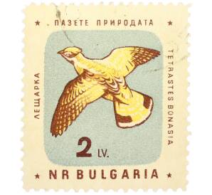 Почтовая марка 2 лева 1961 года Болгария «Болгарские птицы — Рябчик» — Фото №1