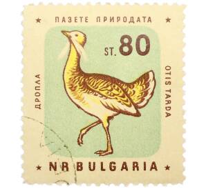 Почтовая марка 80 стотинок 1961 года Болгария «Болгарские птицы — Дрофа» — Фото №1