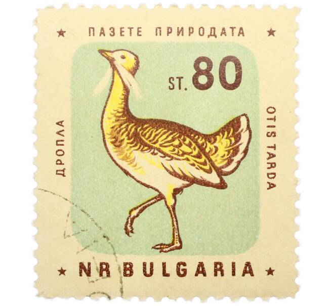 Почтовая марка 80 стотинок 1961 года Болгария «Болгарские птицы — Дрофа» (Артикул: P2-1411) — Фото №1