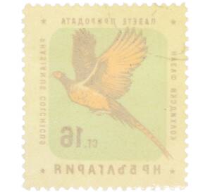 Почтовая марка 16 стотинок 1961 года Болгария «Болгарские птицы — Обыкновенный фазан» — Фото №2