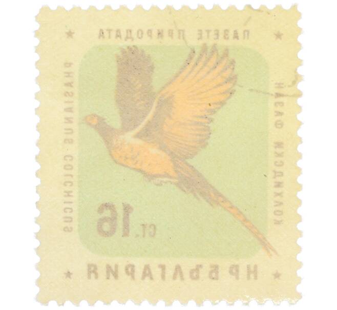 Почтовая марка 16 стотинок 1961 года Болгария «Болгарские птицы — Обыкновенный фазан» (Артикул: P2-1412) — Фото №2