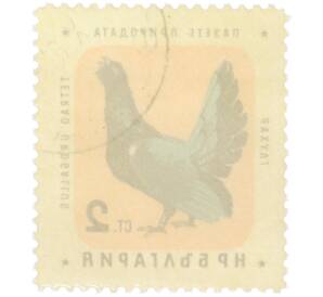 Почтовая марка 2 стотинки 1961 года Болгария «Болгарские птицы — Глухарь» — Фото №2