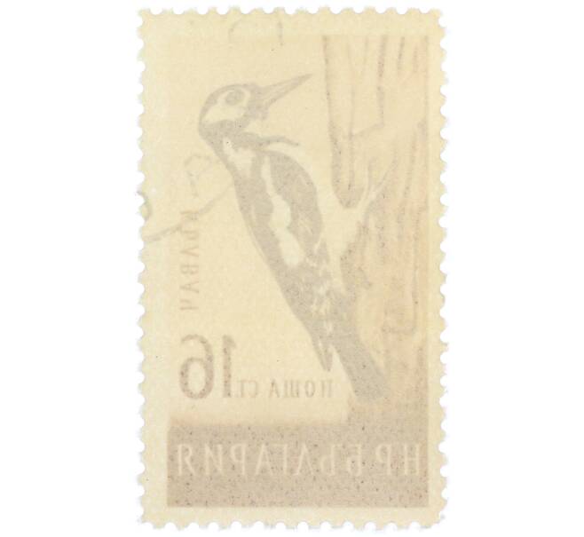 Почтовая марка 16 стотинок 1959 года Болгария «Большой пестрый дятел» (Артикул: P2-1415) — Фото №2