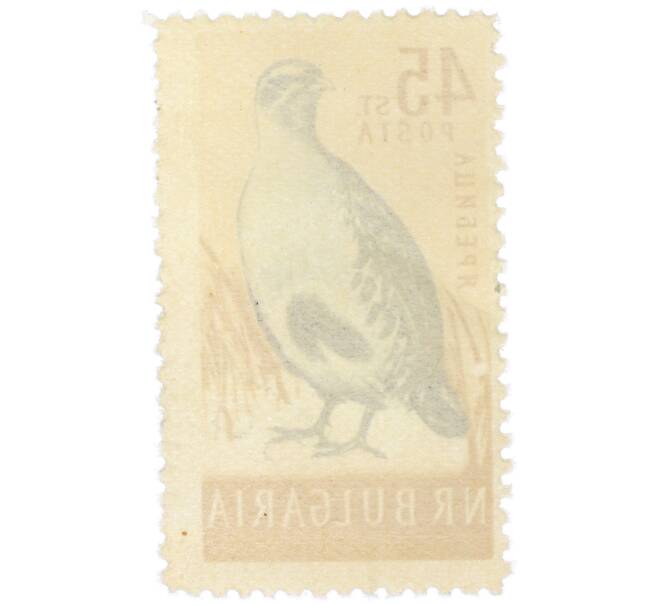 Почтовая марка 45 стотинок 1959 года Болгария «Серая куропатка» (Артикул: P2-1416) — Фото №2