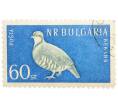 Почтовая марка 60 стотинок 1959 года Болгария «Каменная куропатка» (Артикул: P2-1417) — Фото №1
